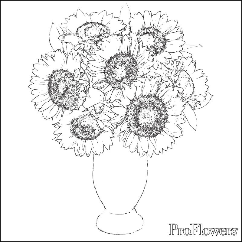 Beautiful blossom Sunflower 17 Sunflower coloring pages | Free Printables