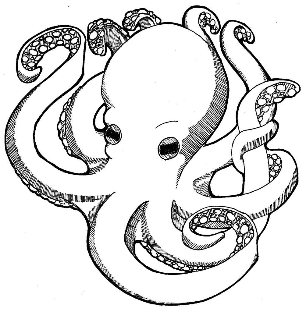 Artistic Octopus bulby head