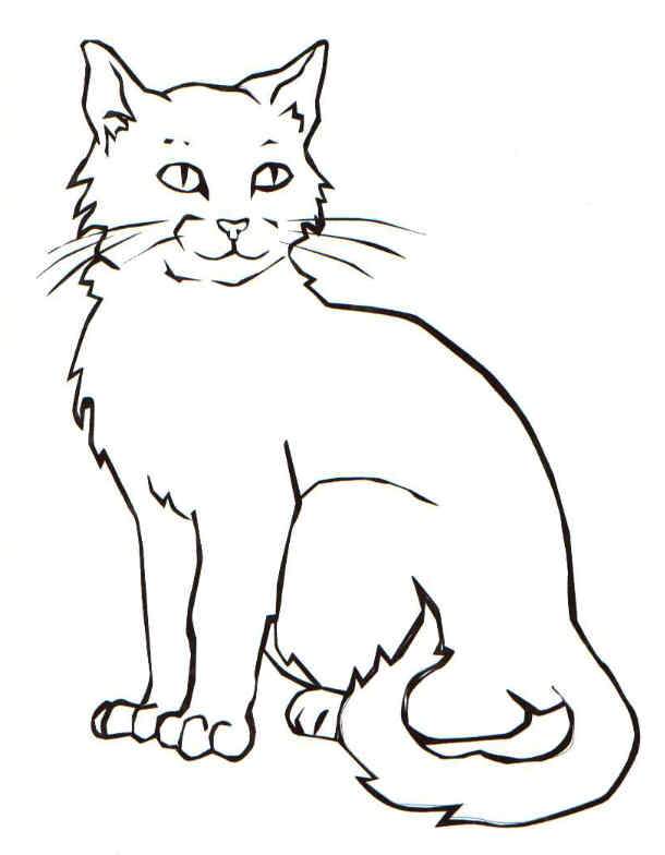 Clever domestic animal Cat 20 Cat coloring pages Free