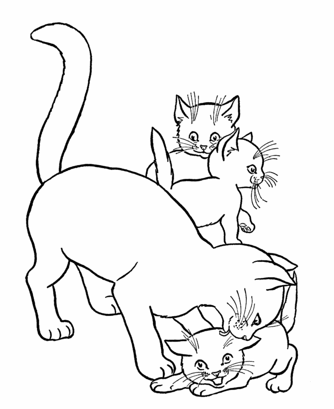 3 кошки раскраска 3 кошки раскраска