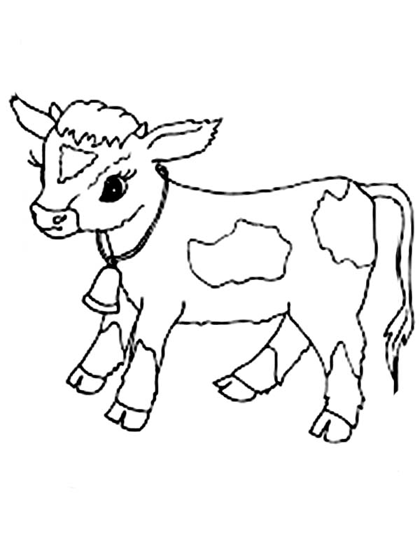 calves coloring pages - photo #4