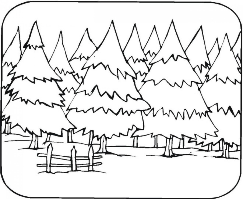 forests coloring pages from emma