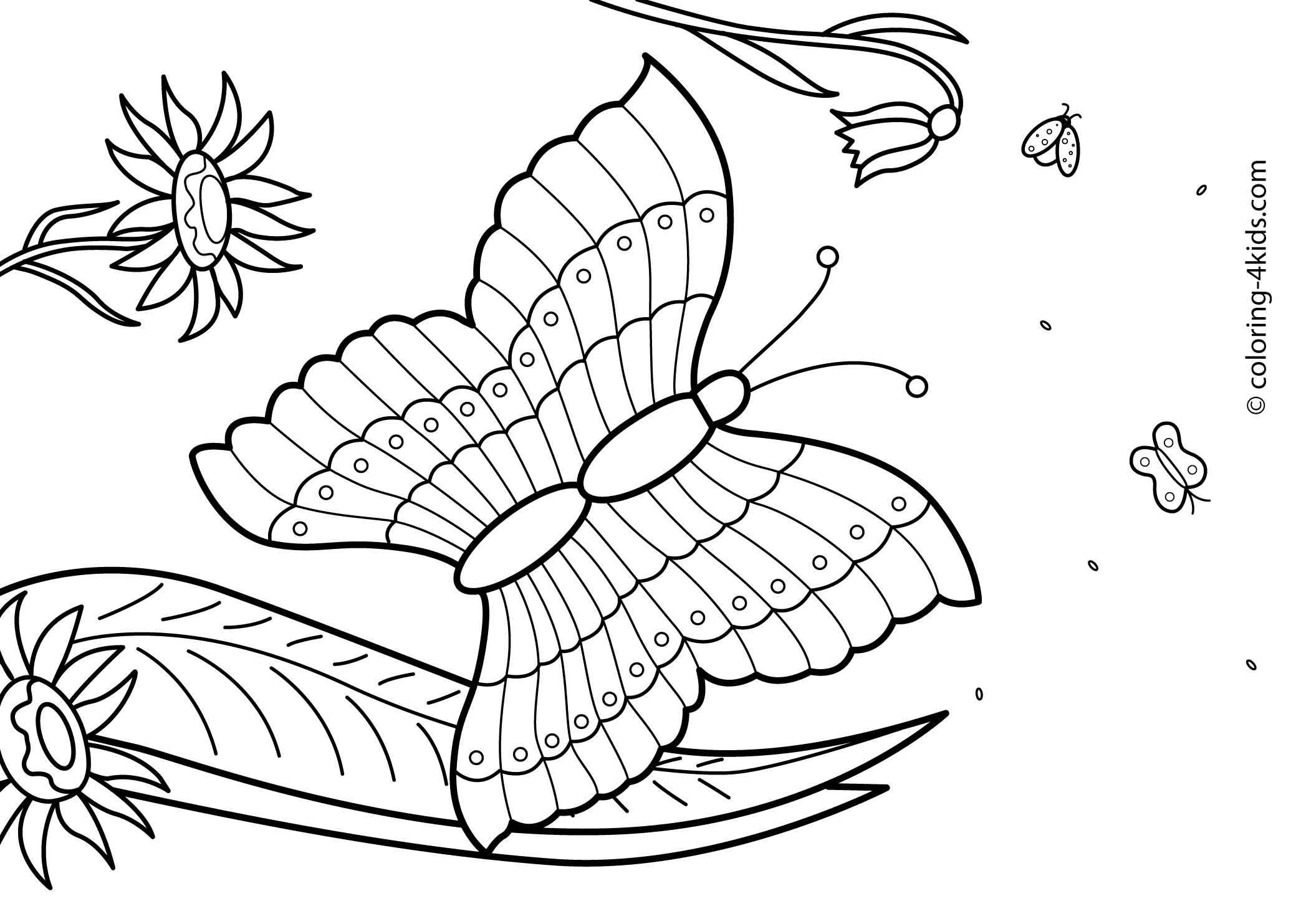 27 Summer season coloring pages part 2 Free Printables