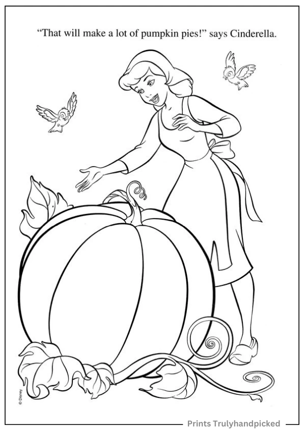 Cinderella Watching at the Huge Pumpkin