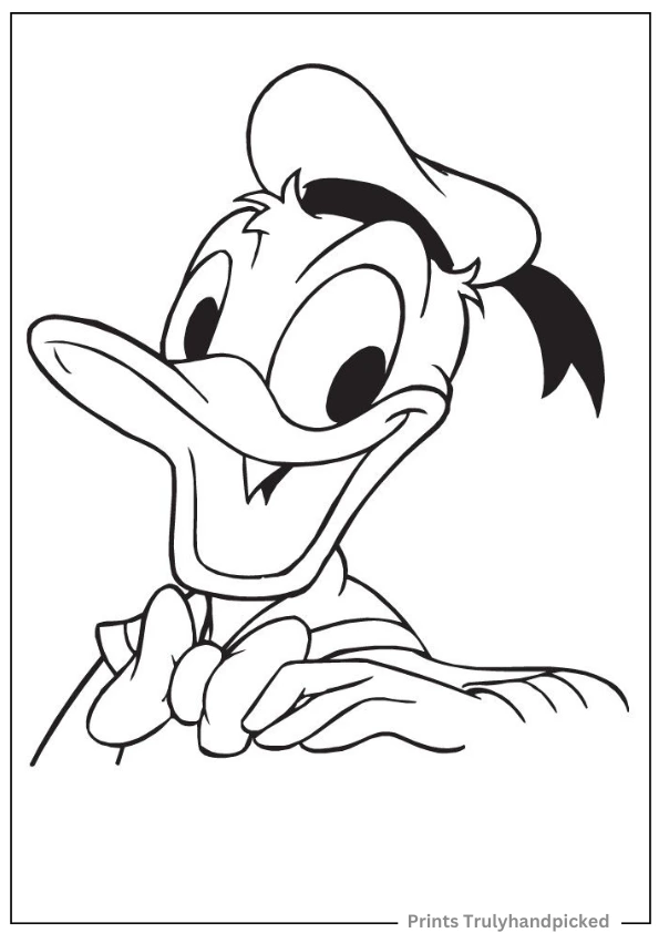 Donald Duck Face Closeup