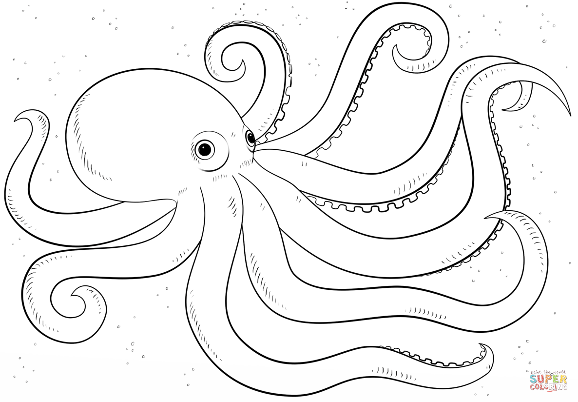 29 Fish and Octopus Coloring Pages for Kids   Free Printables