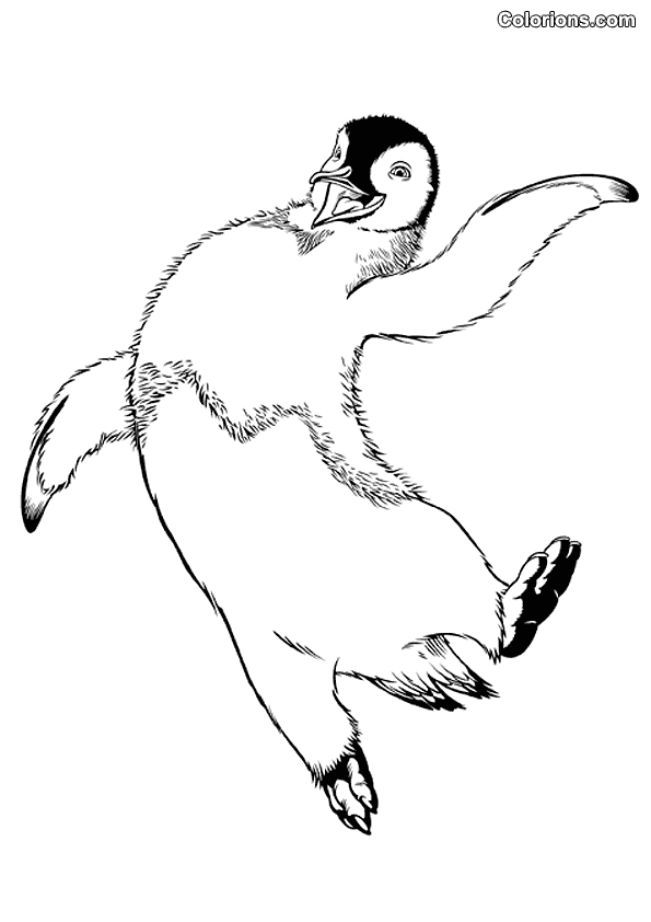 Lovelace, the penguin with sweater coloring page printable game
